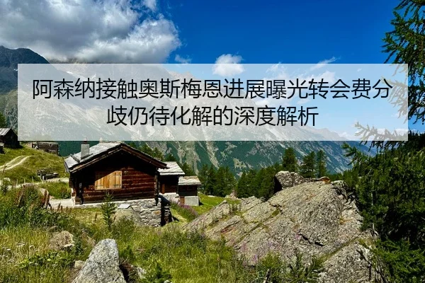 阿森纳接触奥斯梅恩进展曝光转会费分歧仍待化解的深度解析
